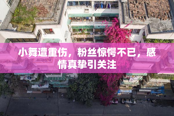 小舞遭重伤，粉丝惊愕不已，感情真挚引关注