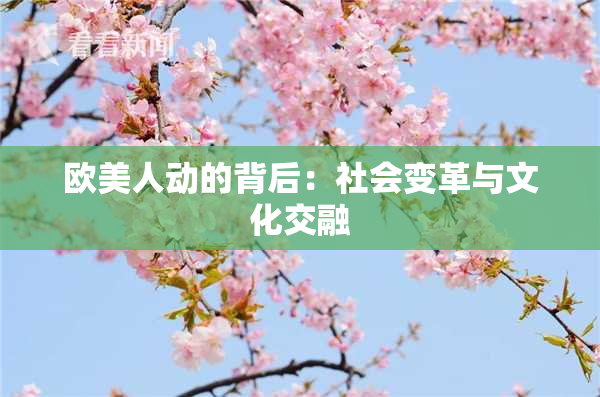 欧美人动的背后：社会变革与文化交融