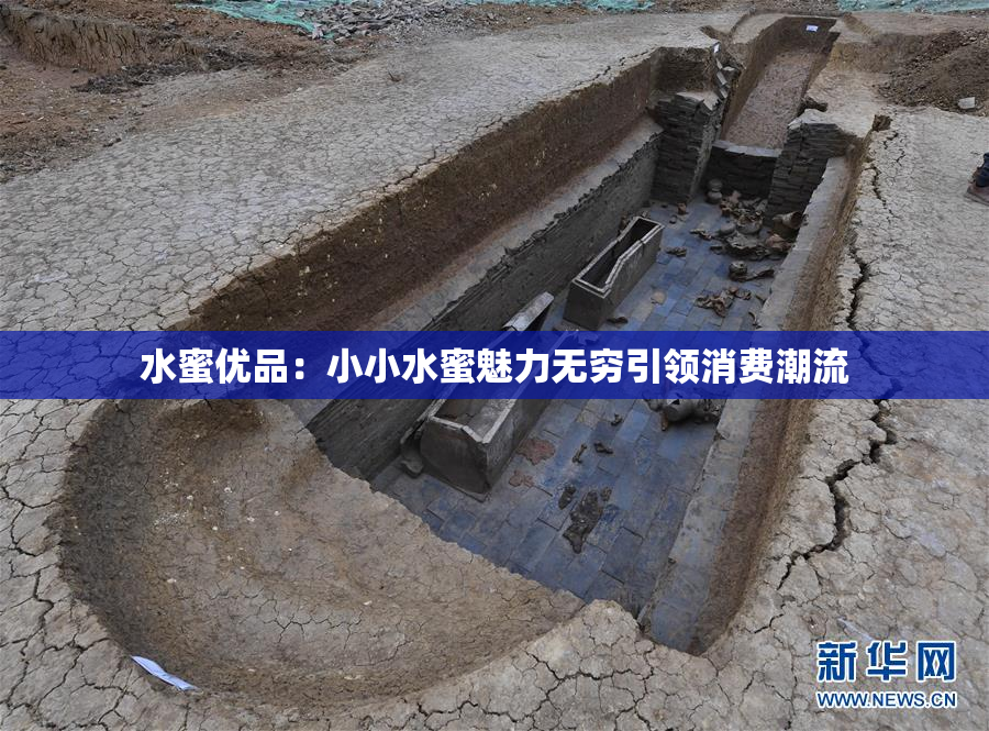 水蜜优品：小小水蜜魅力无穷引领消费潮流