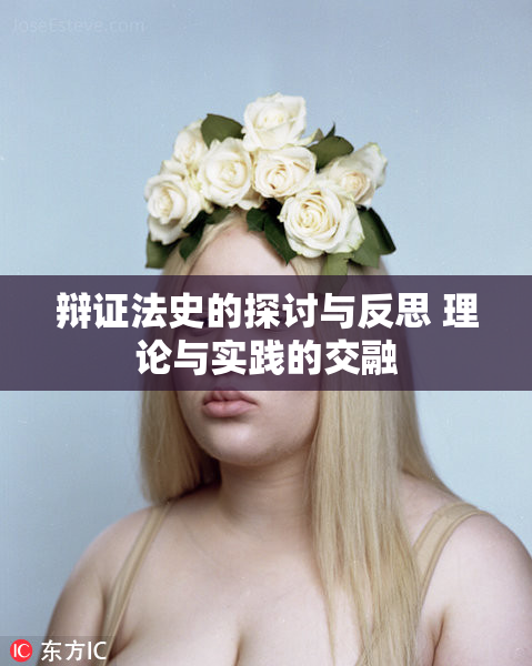 辩证法史的探讨与反思 理论与实践的交融