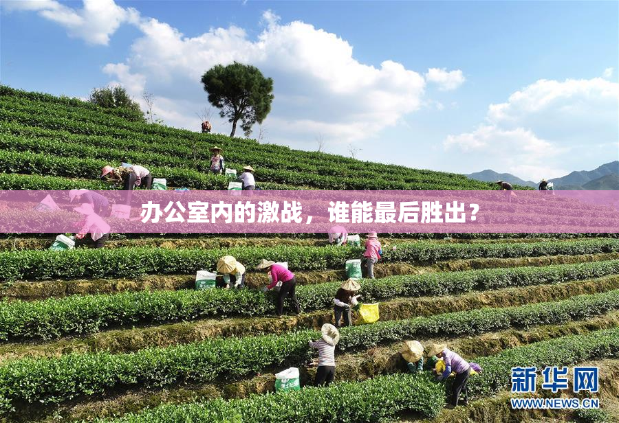 办公室内的激战，谁能最后胜出？