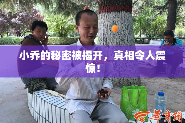 小乔的秘密被揭开，真相令人震惊！