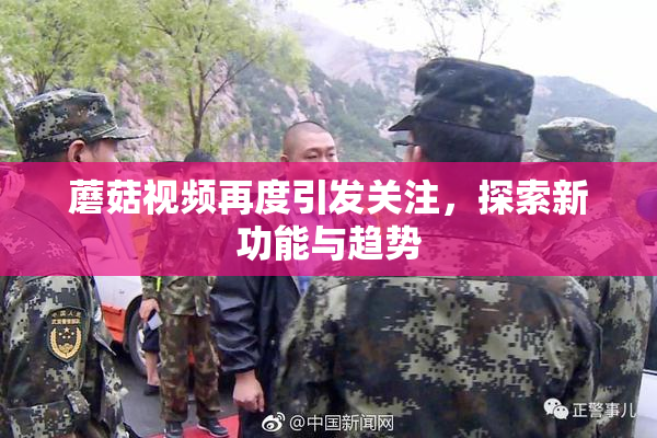 蘑菇视频再度引发关注，探索新功能与趋势