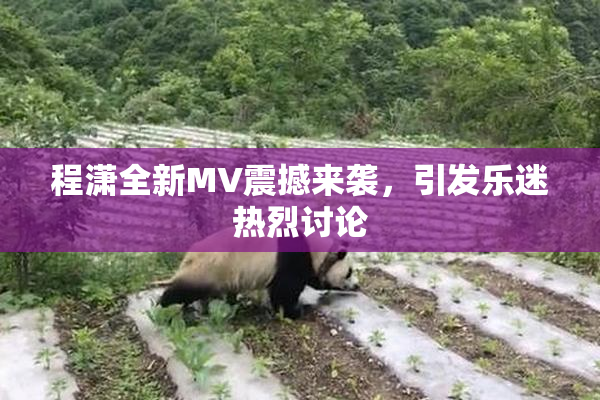 程潇全新MV震撼来袭，引发乐迷热烈讨论