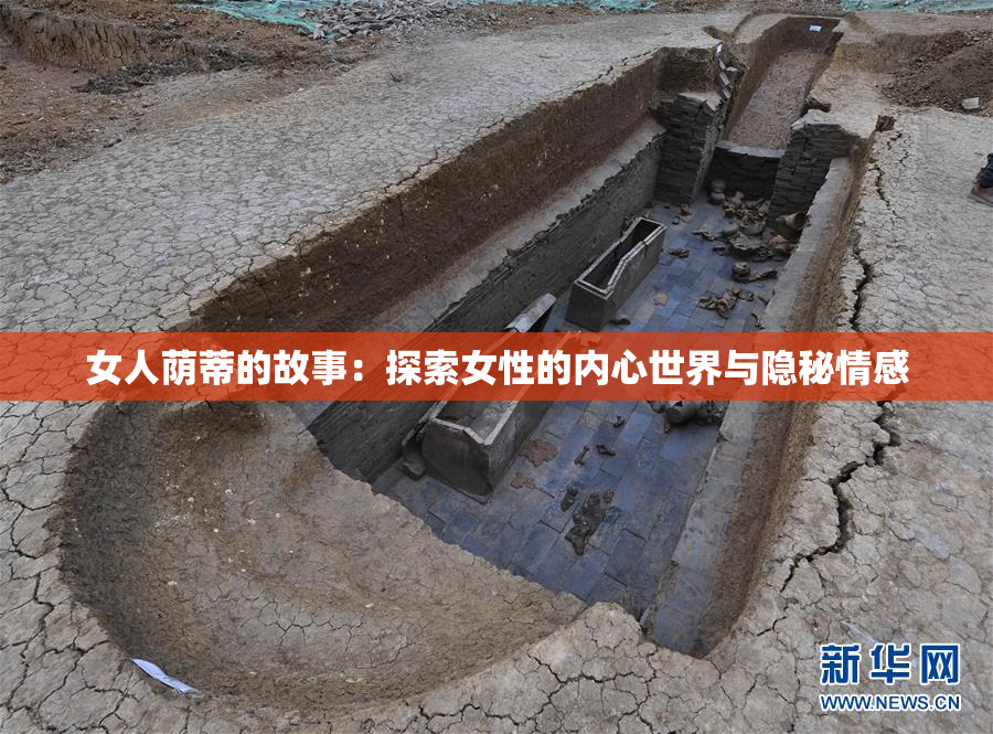 女人荫蒂的故事：探索女性的内心世界与隐秘情感