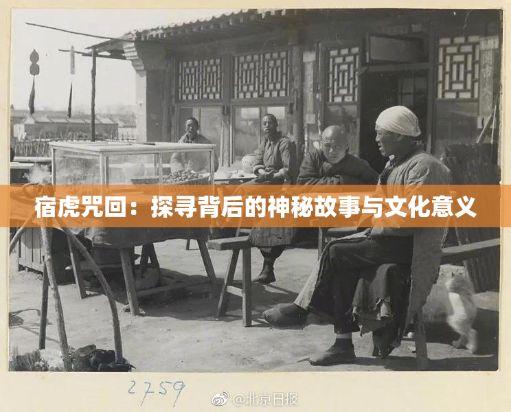 宿虎咒回：探寻背后的神秘故事与文化意义