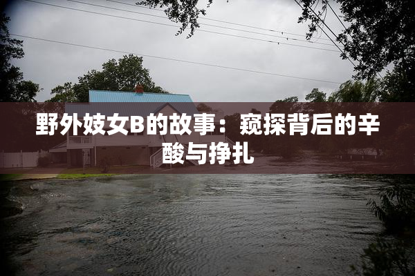 野外妓女B的故事：窥探背后的辛酸与挣扎