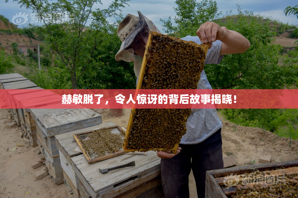 赫敏脱了，令人惊讶的背后故事揭晓！