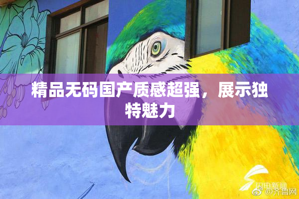精品无码国产质感超强，展示独特魅力