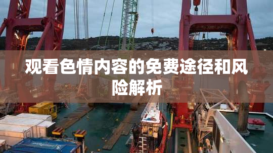 观看色情内容的免费途径和风险解析