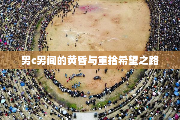男c男间的黄昏与重拾希望之路