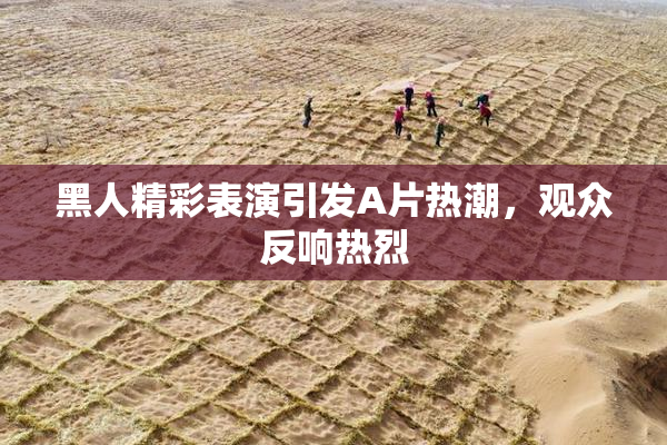 黑人精彩表演引发A片热潮，观众反响热烈