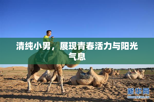 清纯小男，展现青春活力与阳光气息