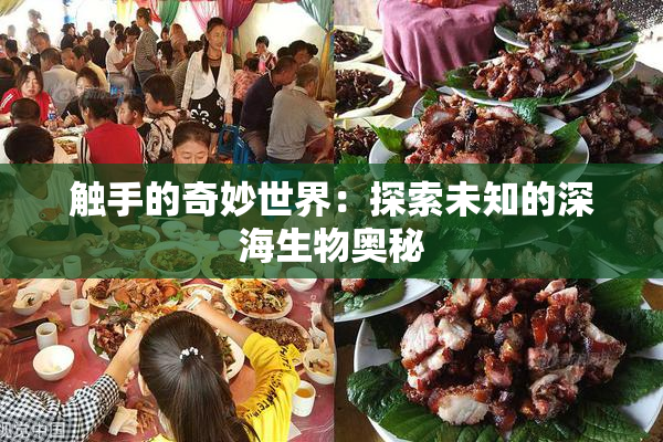 触手的奇妙世界：探索未知的深海生物奥秘