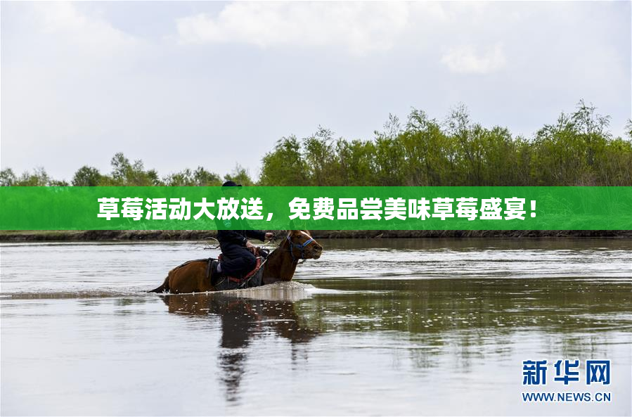 草莓活动大放送，免费品尝美味草莓盛宴！