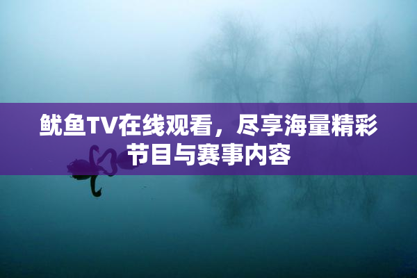 鱿鱼TV在线观看，尽享海量精彩节目与赛事内容