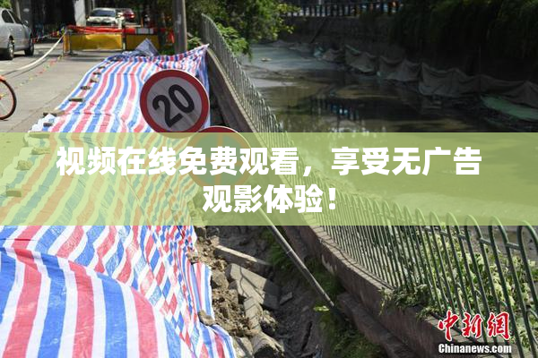 视频在线免费观看，享受无广告观影体验！