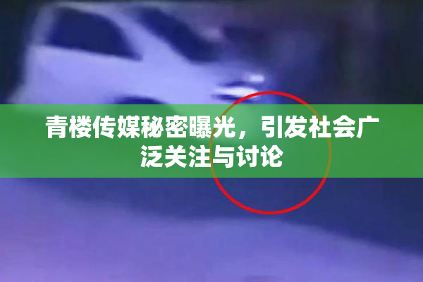 青楼传媒秘密曝光，引发社会广泛关注与讨论