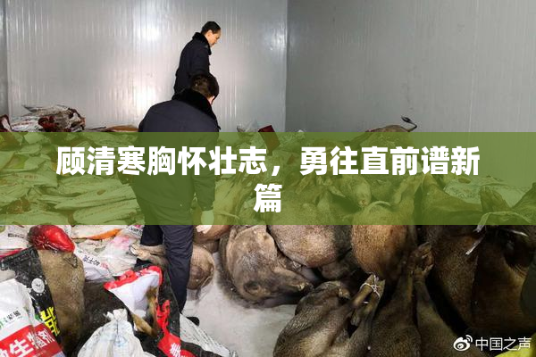 顾清寒胸怀壮志，勇往直前谱新篇