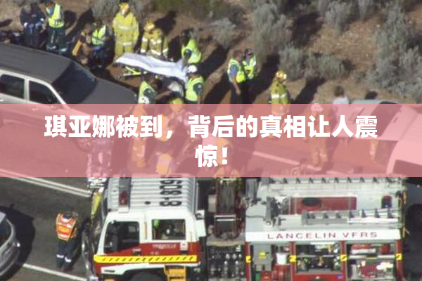 琪亚娜被到，背后的真相让人震惊！