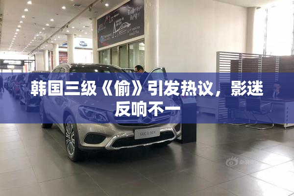 韩国三级《偷》引发热议，影迷反响不一