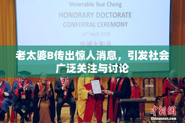 老太婆B传出惊人消息，引发社会广泛关注与讨论