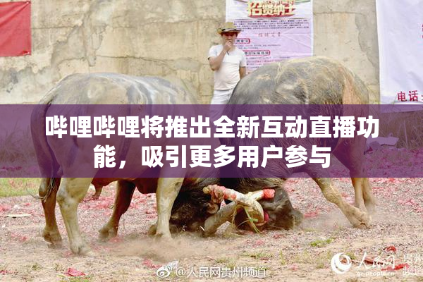 哔哩哔哩将推出全新互动直播功能，吸引更多用户参与
