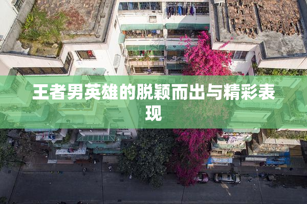 王者男英雄的脱颖而出与精彩表现