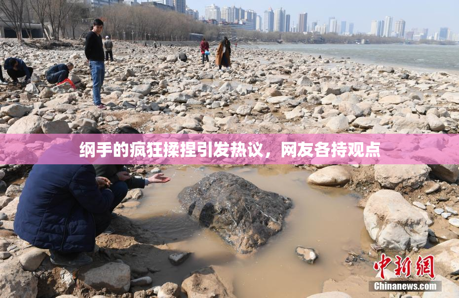 纲手的疯狂揉捏引发热议，网友各持观点
