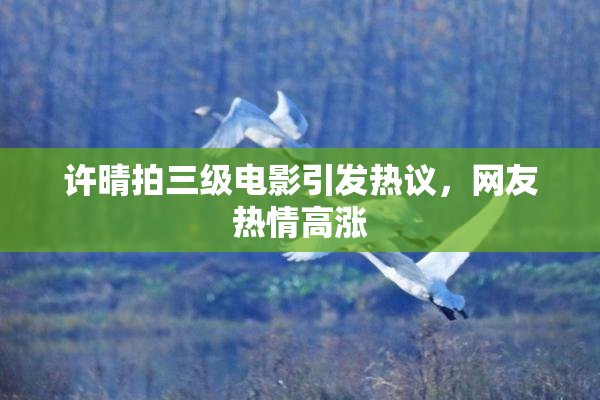 许晴拍三级电影引发热议，网友热情高涨