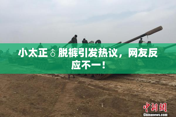 小太正♂脱裤引发热议，网友反应不一！