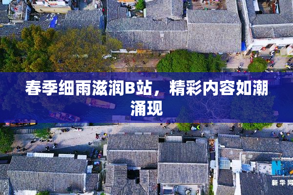 春季细雨滋润B站，精彩内容如潮涌现