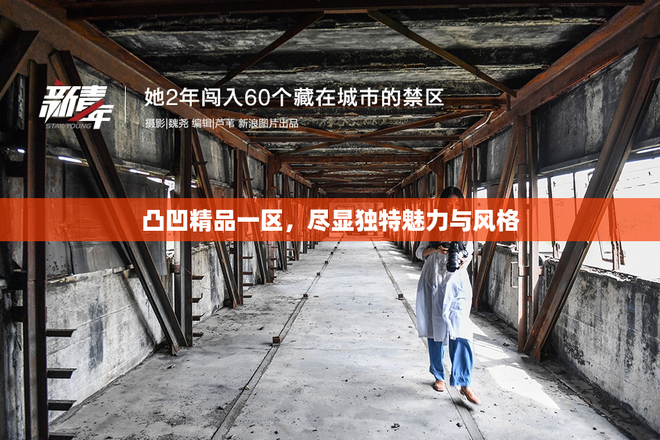 凸凹精品一区，尽显独特魅力与风格