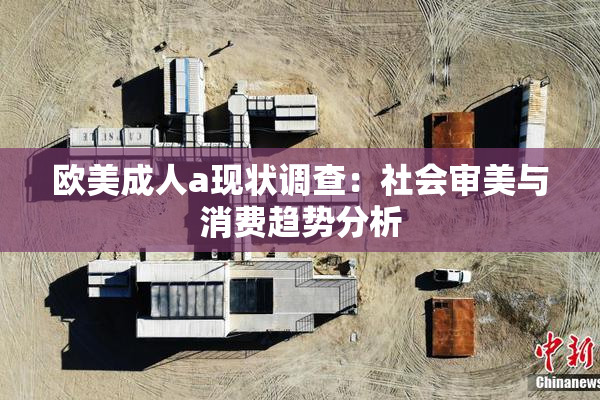 欧美成人a现状调查：社会审美与消费趋势分析