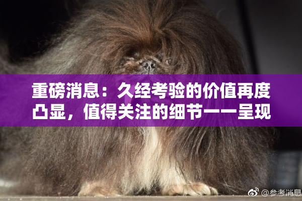 重磅消息：久经考验的价值再度凸显，值得关注的细节一一呈现！