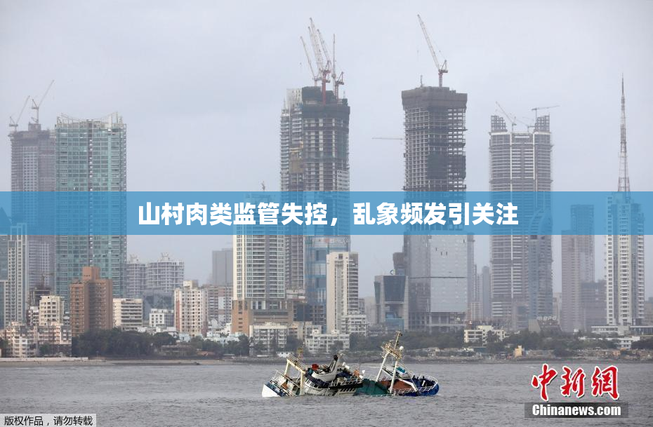 山村肉类监管失控，乱象频发引关注