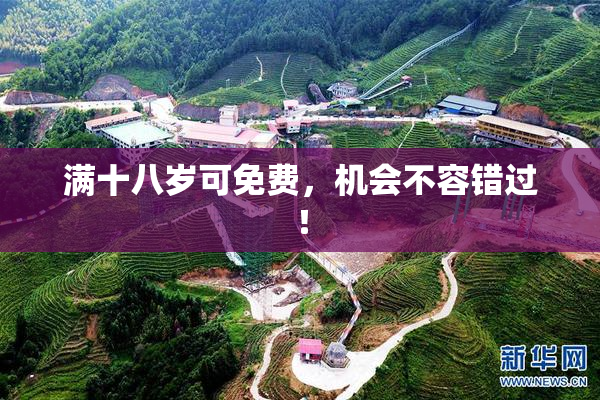 满十八岁可免费，机会不容错过！