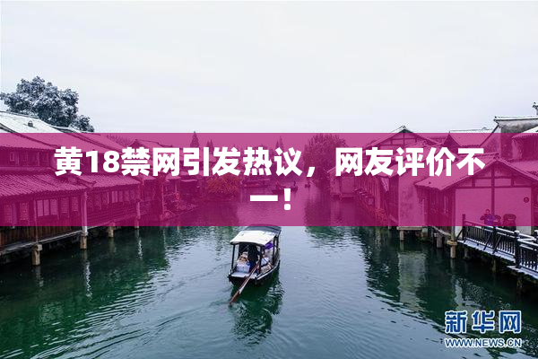 黄18禁网引发热议，网友评价不一！