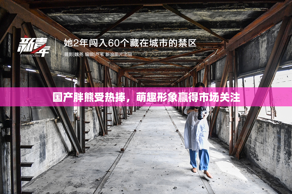国产胖熊受热捧，萌趣形象赢得市场关注