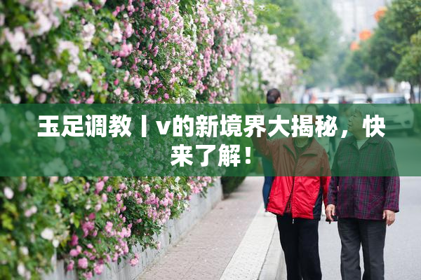 玉足调教丨v的新境界大揭秘，快来了解！
