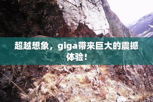 超越想象，giga带来巨大的震撼体验！