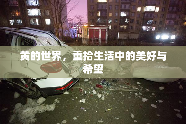 黄的世界，重拾生活中的美好与希望