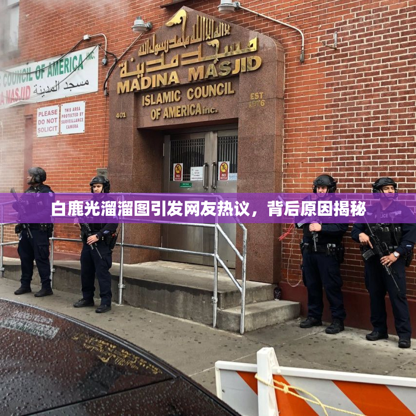 白鹿光溜溜图引发网友热议，背后原因揭秘