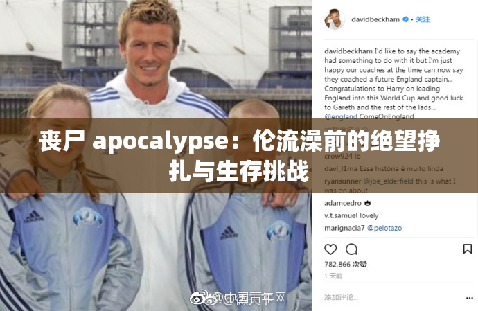 丧尸 apocalypse：伦流澡前的绝望挣扎与生存挑战