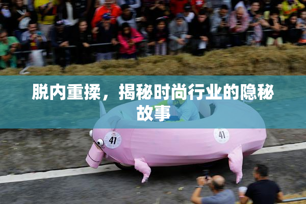脱内重揉，揭秘时尚行业的隐秘故事