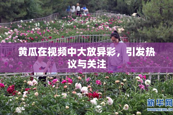 黄瓜在视频中大放异彩，引发热议与关注