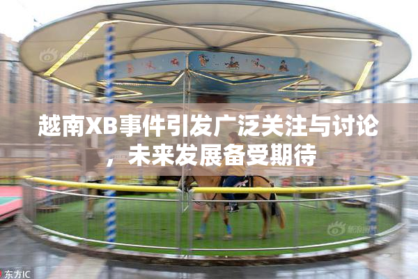 越南XB事件引发广泛关注与讨论，未来发展备受期待