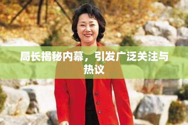 局长揭秘内幕，引发广泛关注与热议