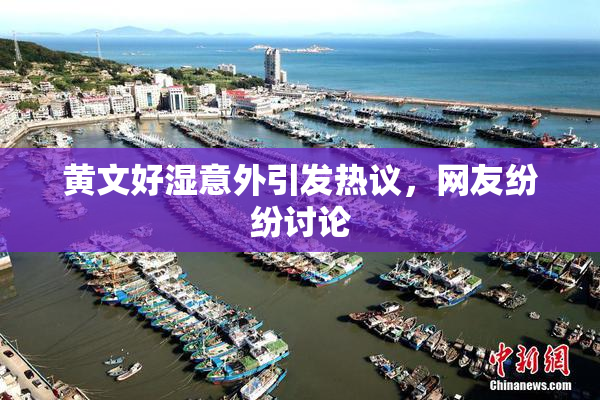 黄文好湿意外引发热议，网友纷纷讨论
