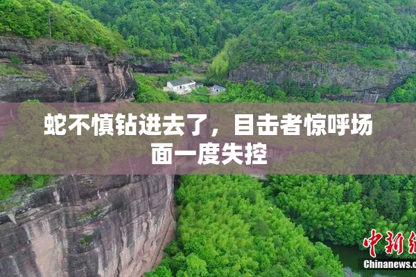 蛇不慎钻进去了，目击者惊呼场面一度失控
